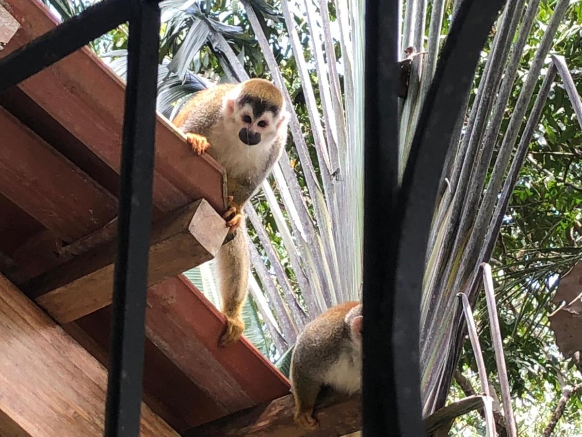 Puesta Del Sol Hotell Quepos Exteriör bild