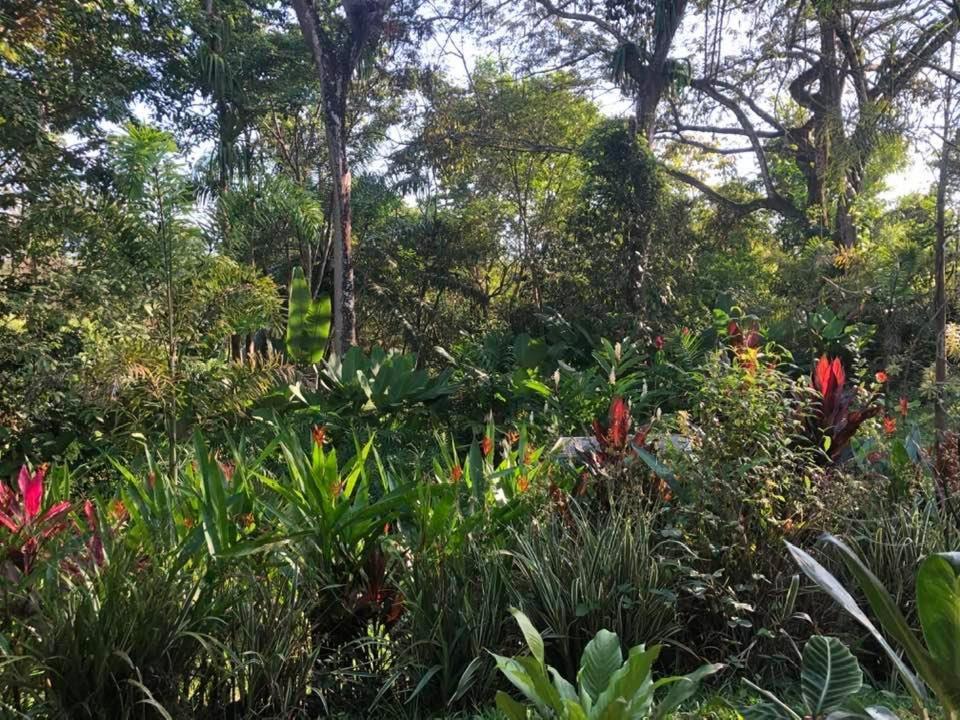 Puesta Del Sol Hotell Quepos Exteriör bild